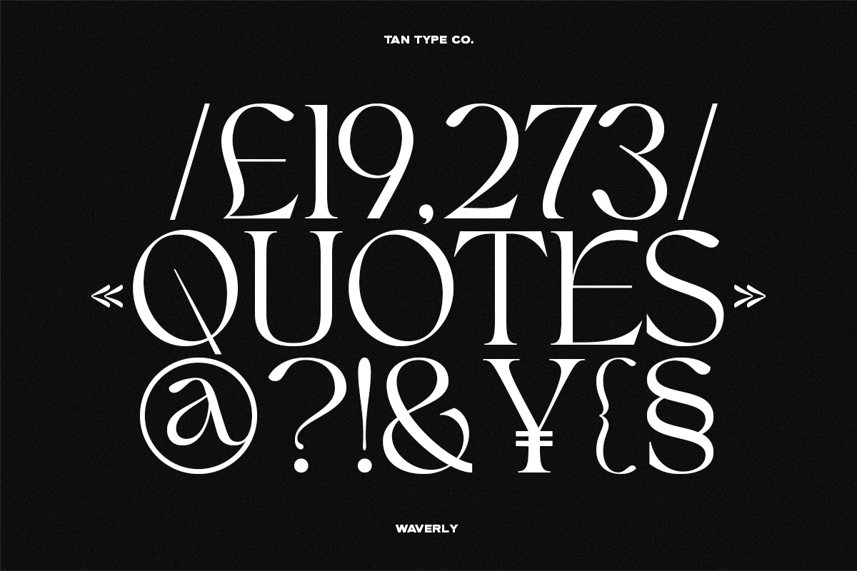 TAN - WAVERLY, a Serif Font by TanType (Photo 17 of 22)