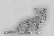 Fine Art Sketch Drawing Action, an Action Add-On by Photoshop Action (Thumbnail 9 of 10)