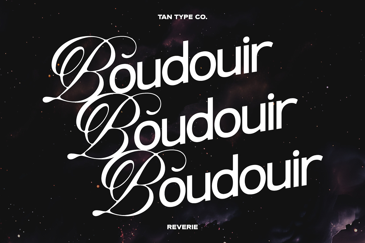 TAN-THE REVERIE, a Sans Serif Font by TanType (Photo 8 of 11)