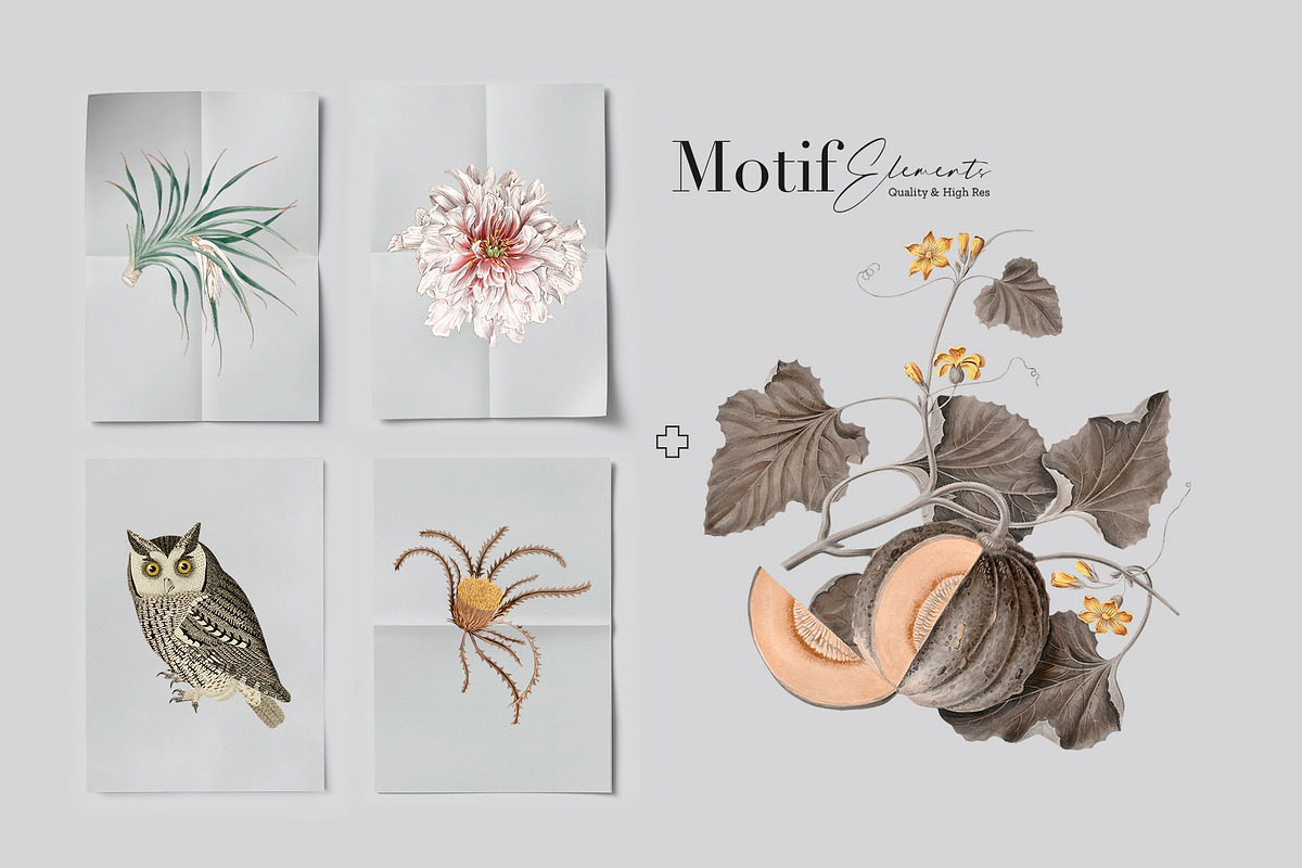 Autumn Owl Botanical Pattern & Motif, a Pattern Graphic by Pink Linen (Photo 7 of 12)