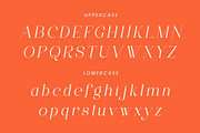 ANNI - Regular & Italic Serif Font, a Serif Font by AnnofaType (Thumbnail 6 of 8)