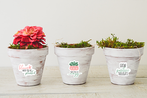 Succulents And Cactus Sticker Bundle