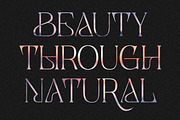 Cheraty Serif, a Serif Font by Skypia (Thumbnail 17 of 22)