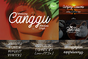 Hawaii Font Bundle - 71 Fonts!, a Serif Font by HipFonts (Thumbnail 12 of 19)