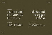 Cettrin Modern Serif Font, a Serif Font by Perfectype (Thumbnail 6 of 6)
