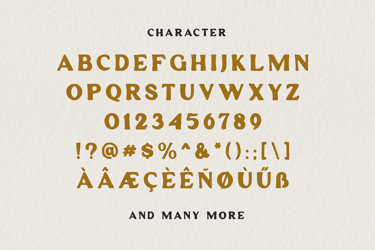 Anderlacht - Vintage Serif + Extras, a Serif Font by Typehand Studio (Photo 4 of 10)