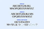 BEACH STONE | Modern Serif Font, a Serif Font by Havinkpen (Thumbnail 6 of 7)