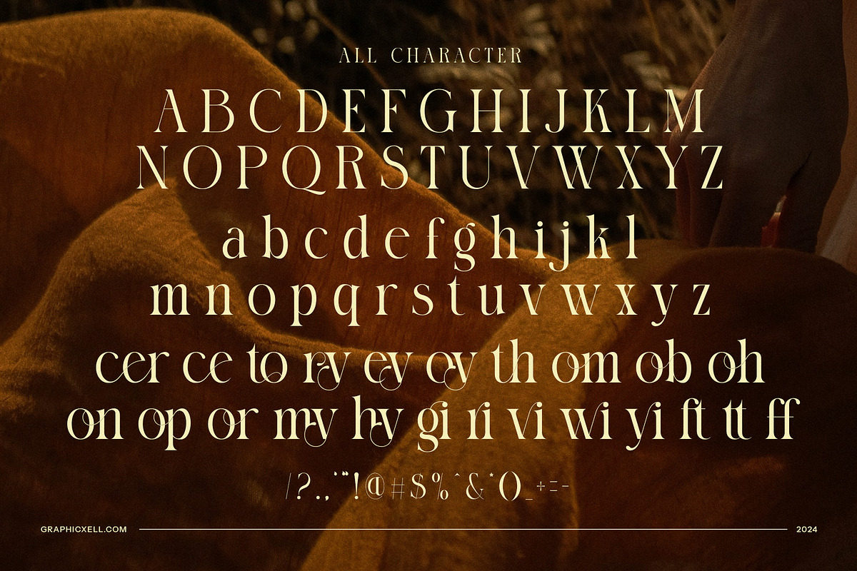 History Modern Serif Font, a Serif Font by Graphicxell (Photo 8 of 8)