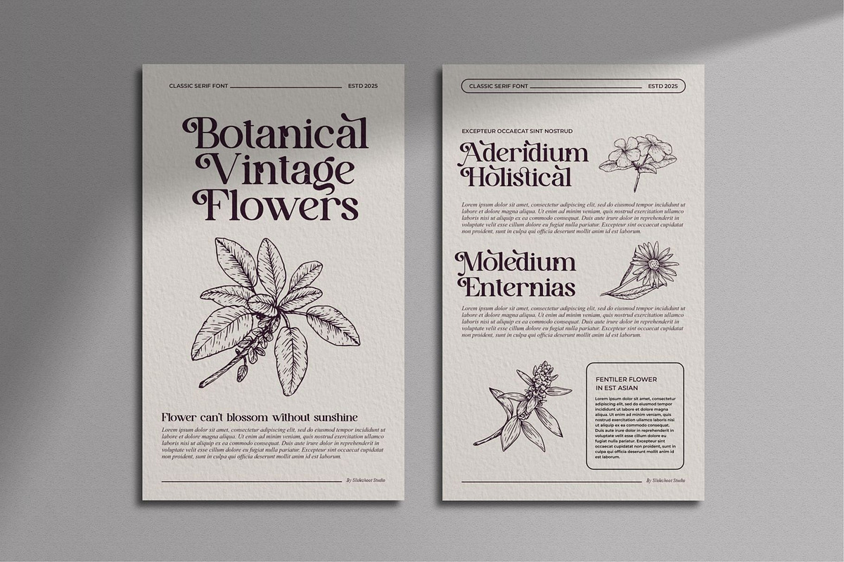 Avilla Mirabel || Vintage Serif Font, a Serif Font by Idea Studio (Photo 5 of 10)