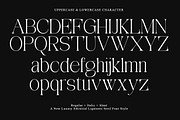 Aviluero Rasnora | 27 Font Files, a Serif Font by IM Studio (Thumbnail 12 of 13)