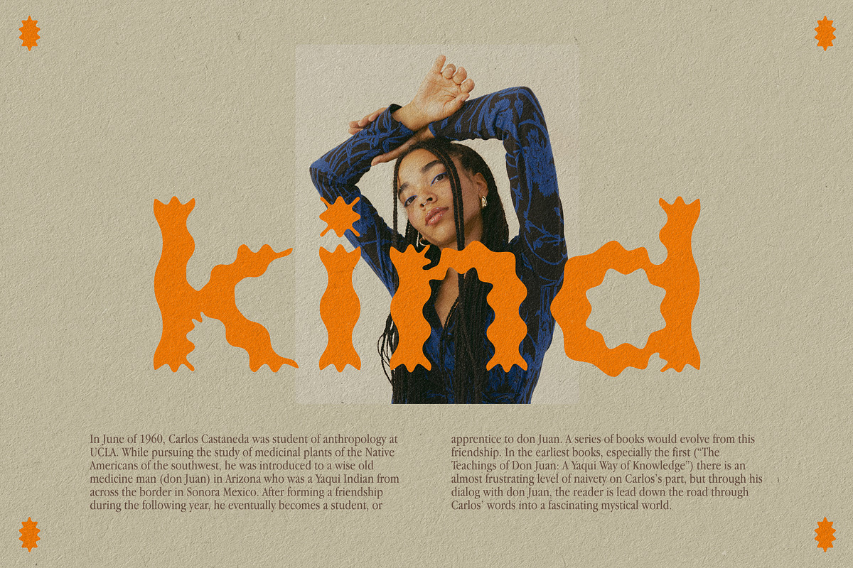 Plateau Font, a Font by Sparrow & Snow (Photo 8 of 15)