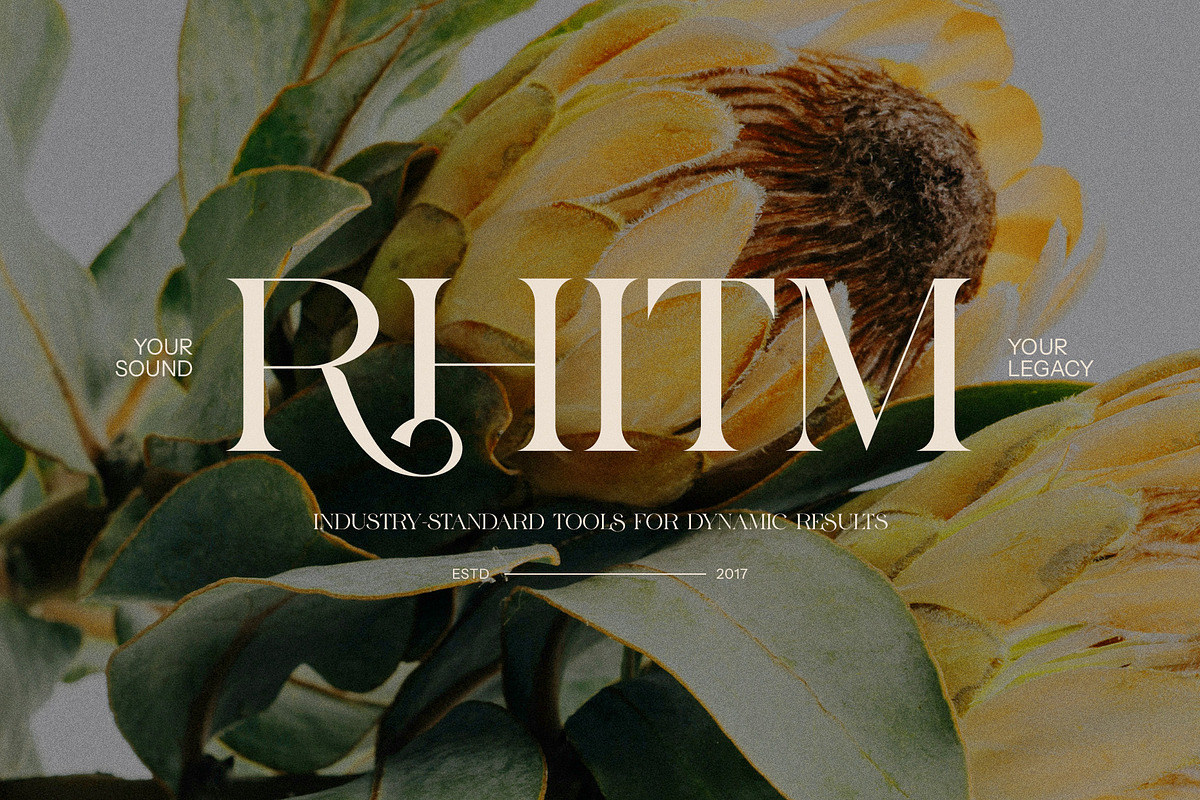 Leina Savira Stylish Serif Font, a Serif Font by Perfectype (Photo 4 of 8)