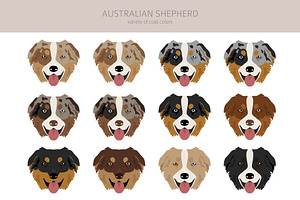 Australian Shepherd Dog Clipart