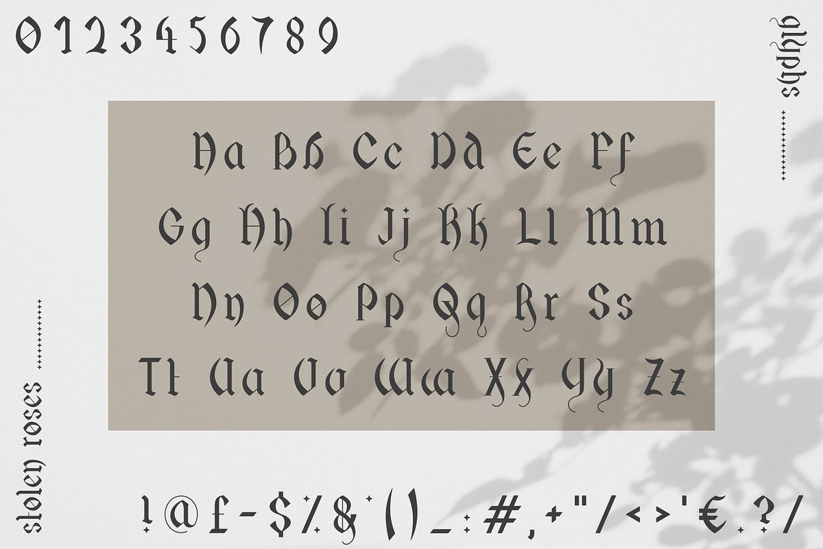 Stolen Roses Font + BONUS FONT, a Blackletter Font by Design Surplus (Photo 3 of 4)