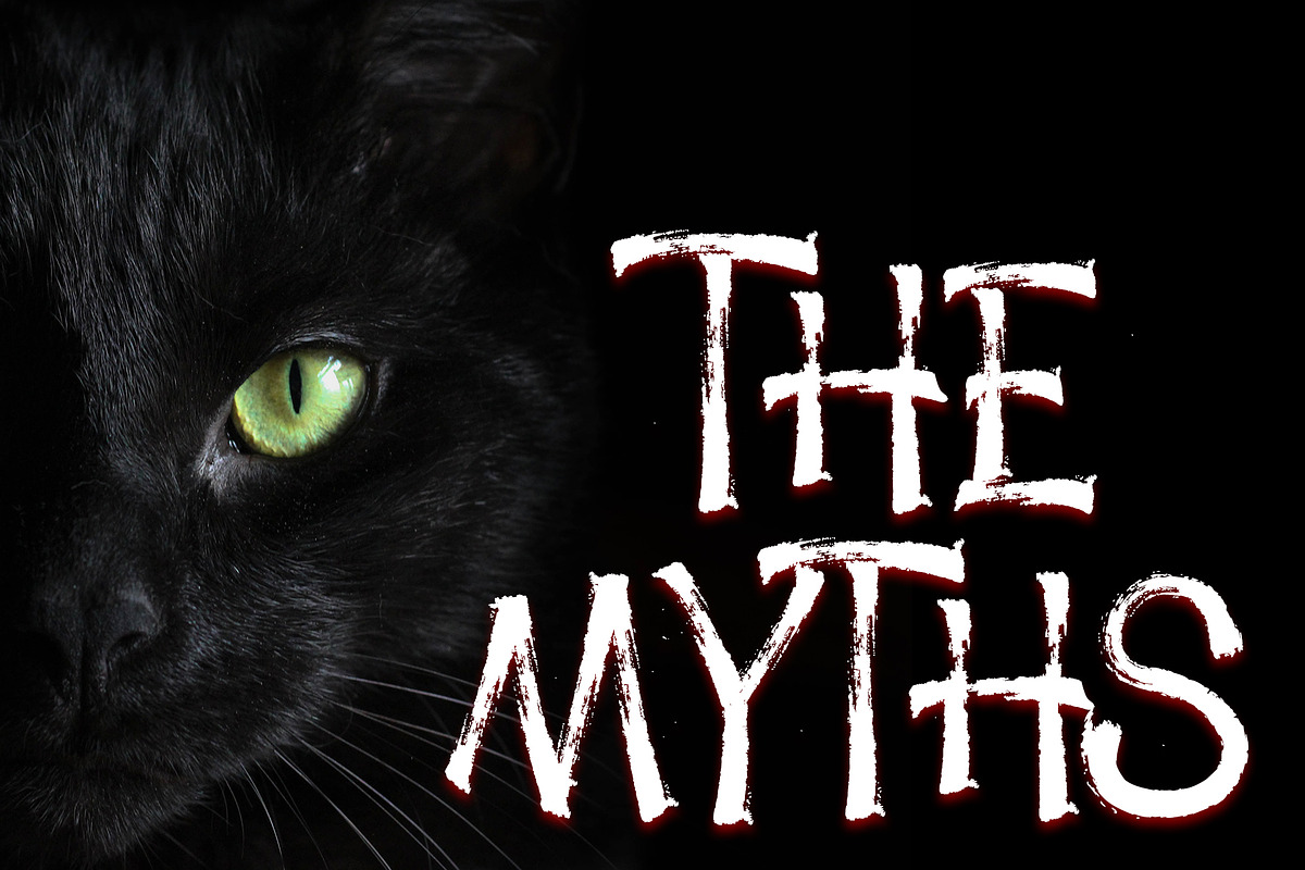 Dark Silence - Creepy Brush Font preview 4