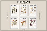 The PLANT. Autumn collection, a Pattern Graphic by NKTN (Thumbnail 10 of 18)