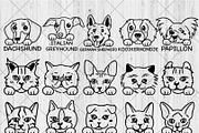 35 Dog 10 Cat Breed Bundle, a Templates & Theme by QualityGraphics (Thumbnail 3 of 4)