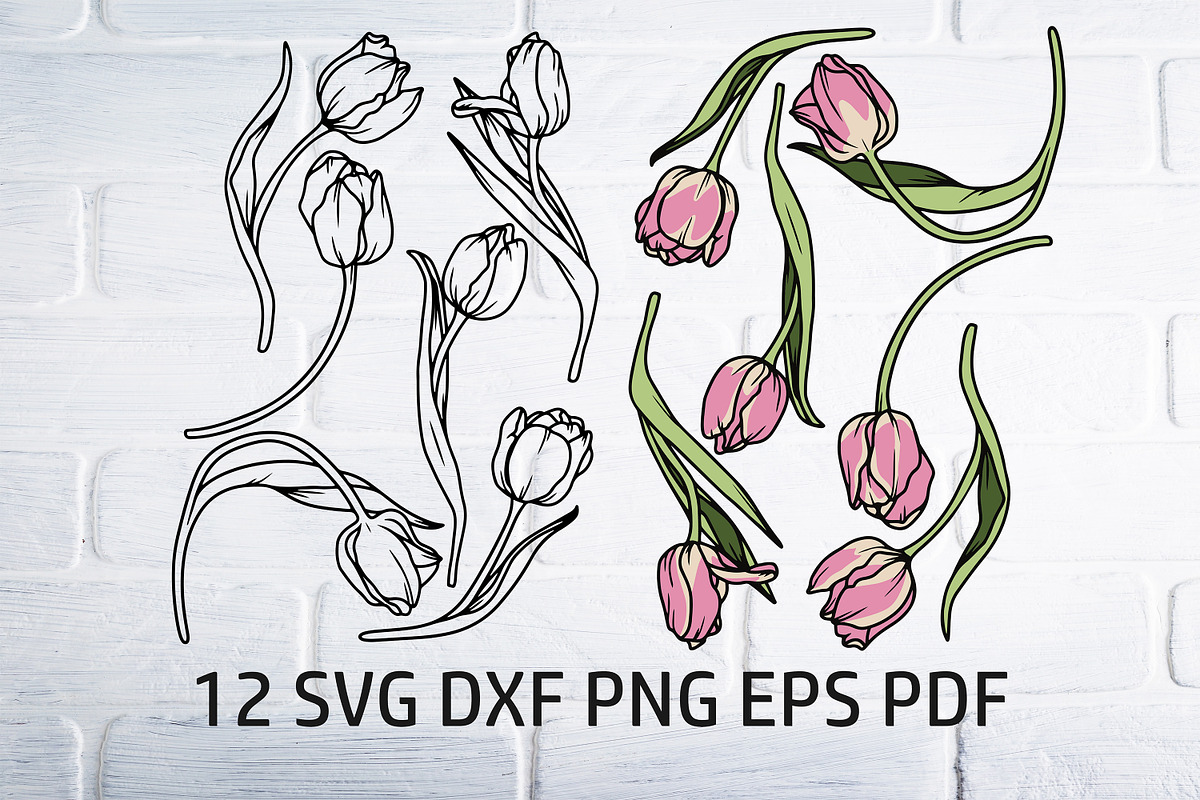 Tulip svg dxf png, flower clipart, an Object Illustration by Bila Vorona (Photo 1 of 5)