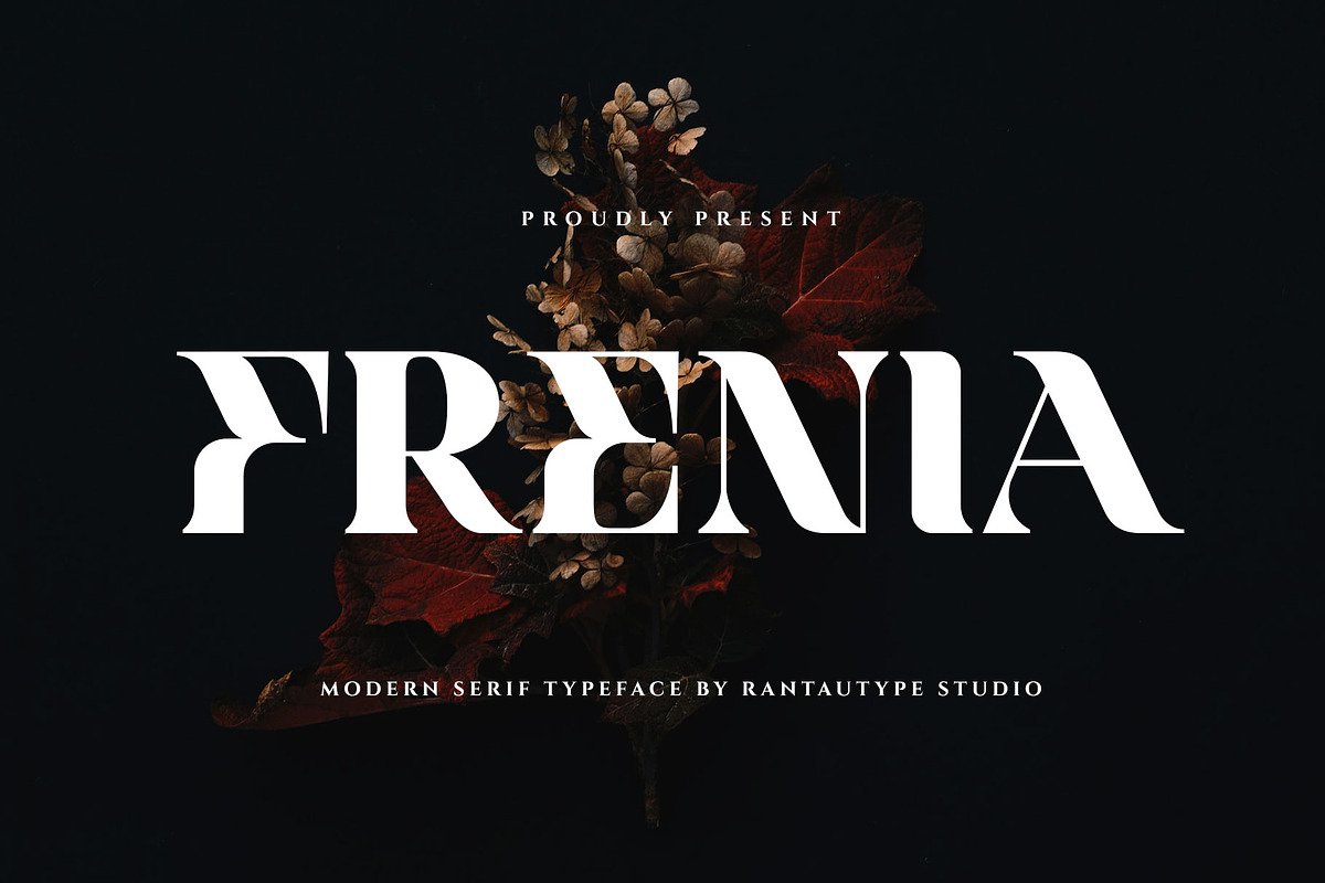 Frenia Modern Serif Typeface, a Serif Font by RantautypeStudio (Photo 1 of 15)