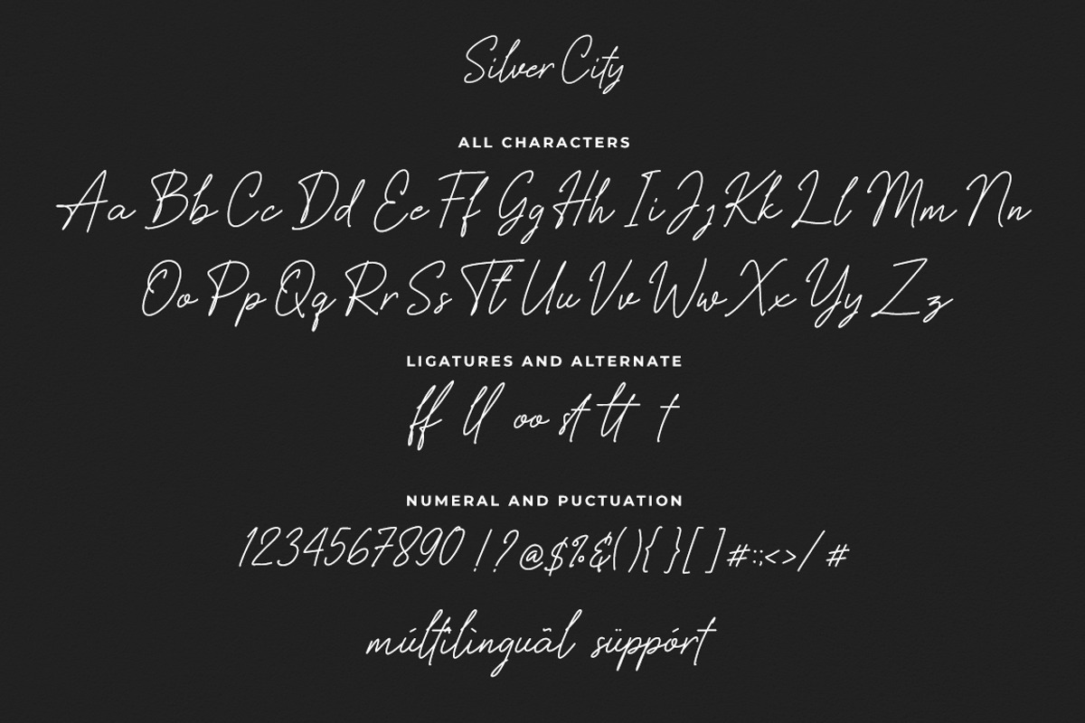 Silver City Signature Font preview 8