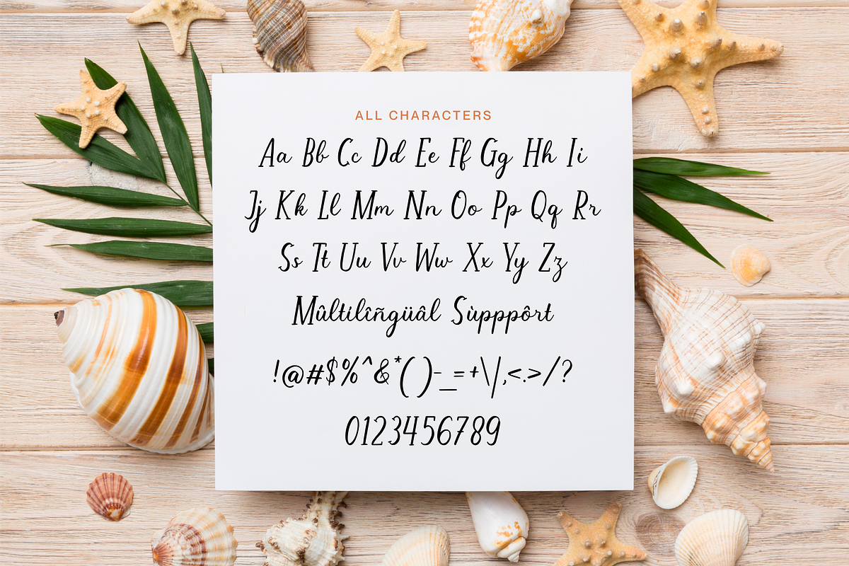 Anything Moment Charming Script Font, a Script Font by Allouse Studio (Photo 9 of 10)