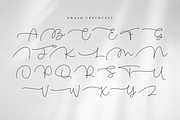 Mallcity - Monoline Script, a Script Font by Sronstudio (Thumbnail 12 of 14)