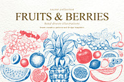 Fruits&Berries Vector Collection, a Food Illustration by Lubov Illustrations Shop (Thumbnail 1 of 6)