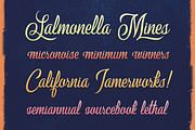 Milford Script, a Script Font by Zeune Type Foundry (Thumbnail 5 of 11)