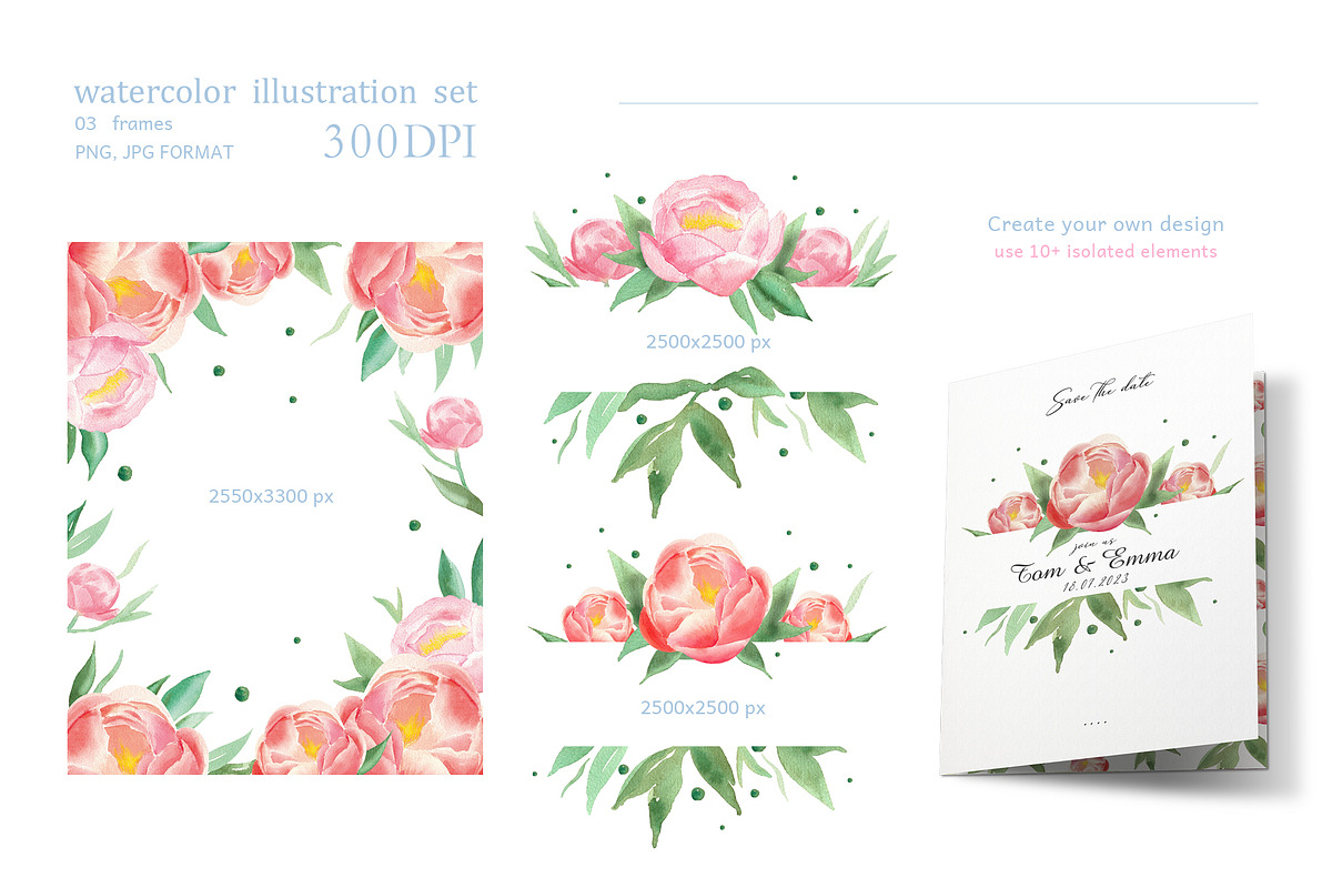 Watercolor peonies, an Object Graphic by Anastasia Timosch (Photo 4 of 9)