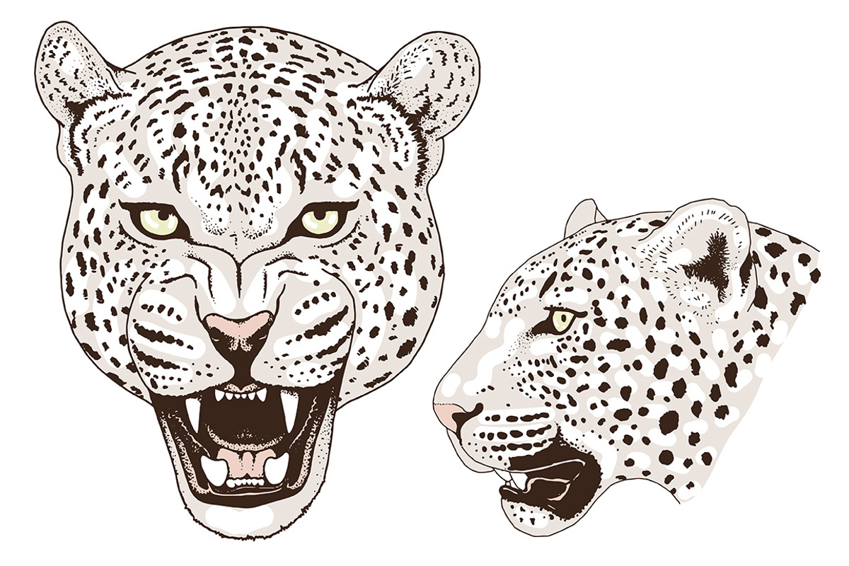 White LEOPARD, an Animal Illustration by Tanya Akhmett (Photo 4 of 6)