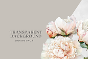 Peony Blush - Watercolor, a Decorative Illustration by ThaismotaCreativeCo (Thumbnail 11 of 11)