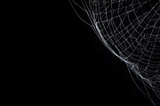 Spider Web Overlay Bundle, a Background Photo by M9 Design (Thumbnail 8 of 10)