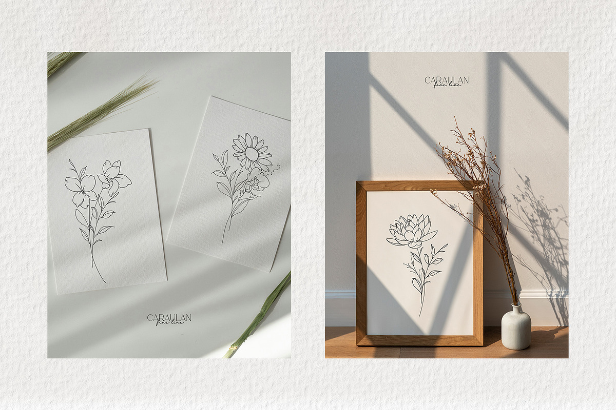Birth Flowers Outline Stamps, a Brush Add-On by CaraulanStore (Photo 8 of 9)