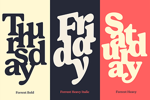 Forrest Friendly Serif Family