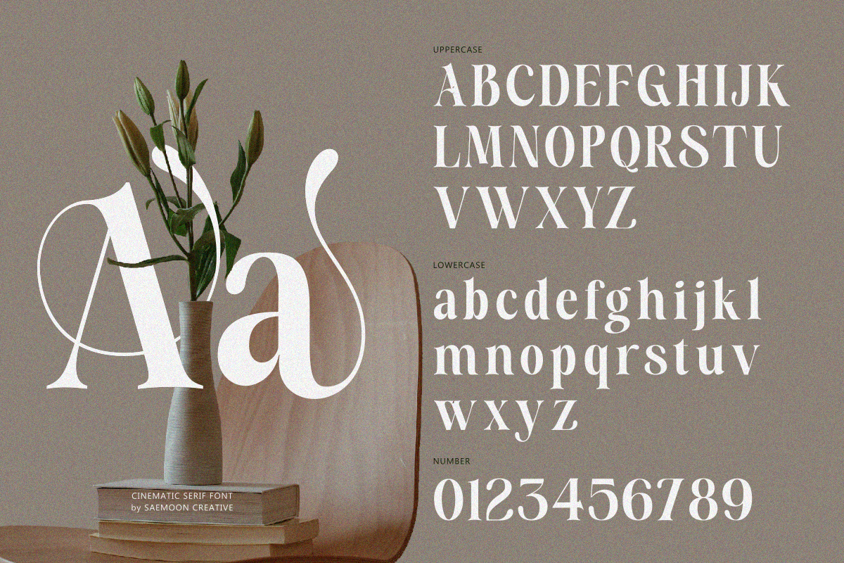 Aveline Eleganza, a Serif Font by saemoon creative (Photo 9 of 13)