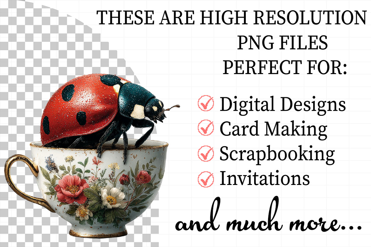 Whimsical Ladybug Spring Set Clipart, an Illustration by Daily.Designs (Photo 2 of 7)
