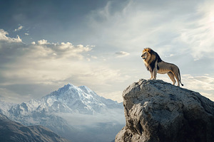 Big lion king of beasts standing on the edge of a cliff, an Animal Photo by AlyaAnd