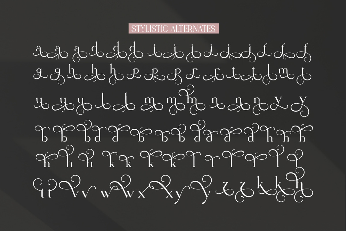 Angrela Display, a Serif Font by Gatype (Photo 10 of 11)