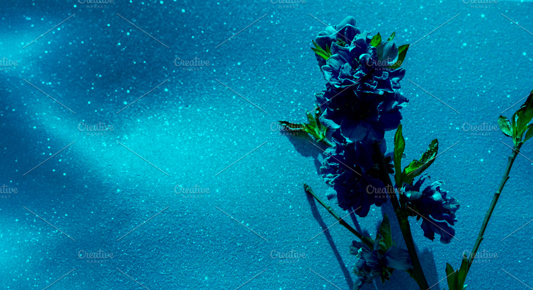Artistic composition of deep blue flowers against a shimmering t, a Nature Photo by Ales Munt