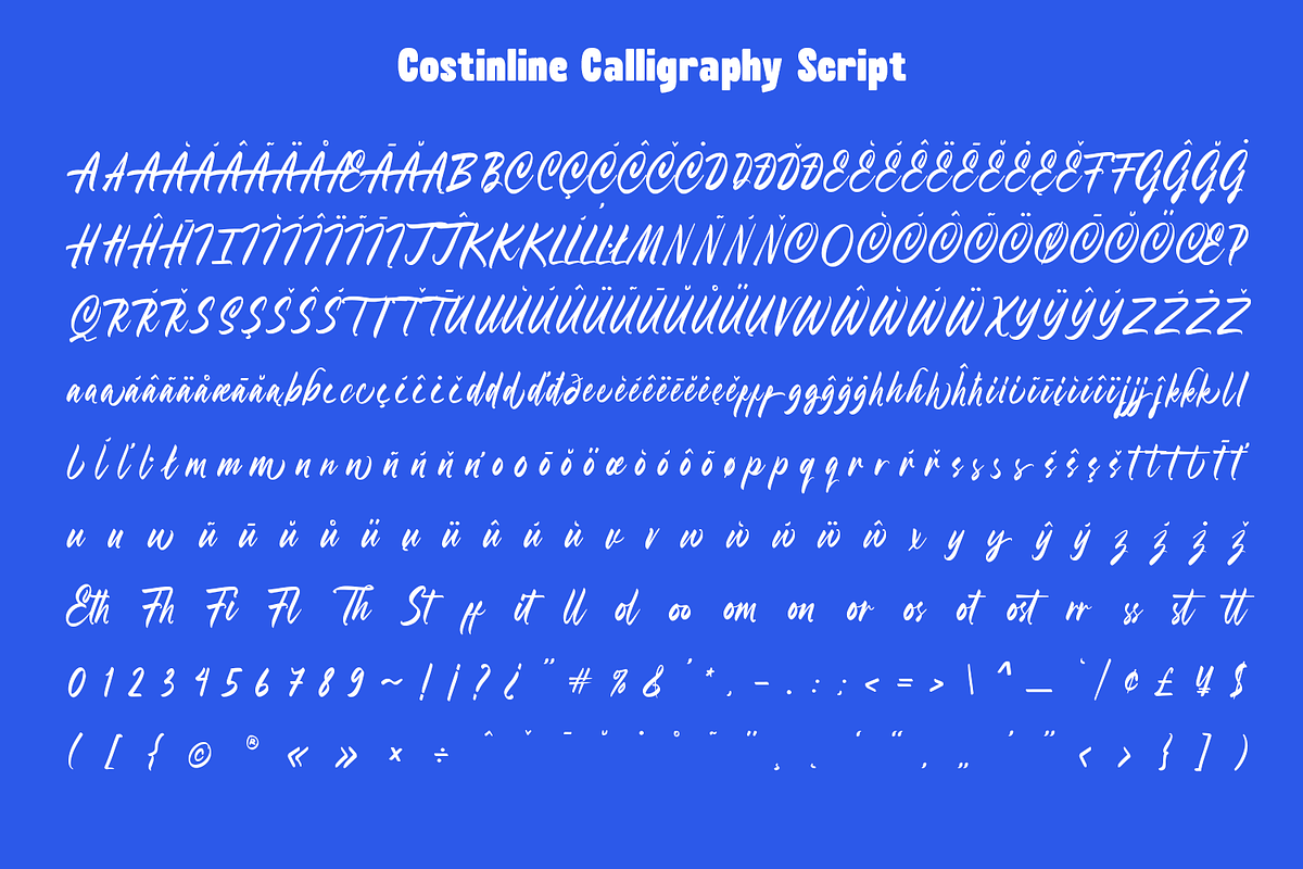 Costinline Display - Font Duo, a Script Font by Typetemp Studio (Photo 18 of 20)
