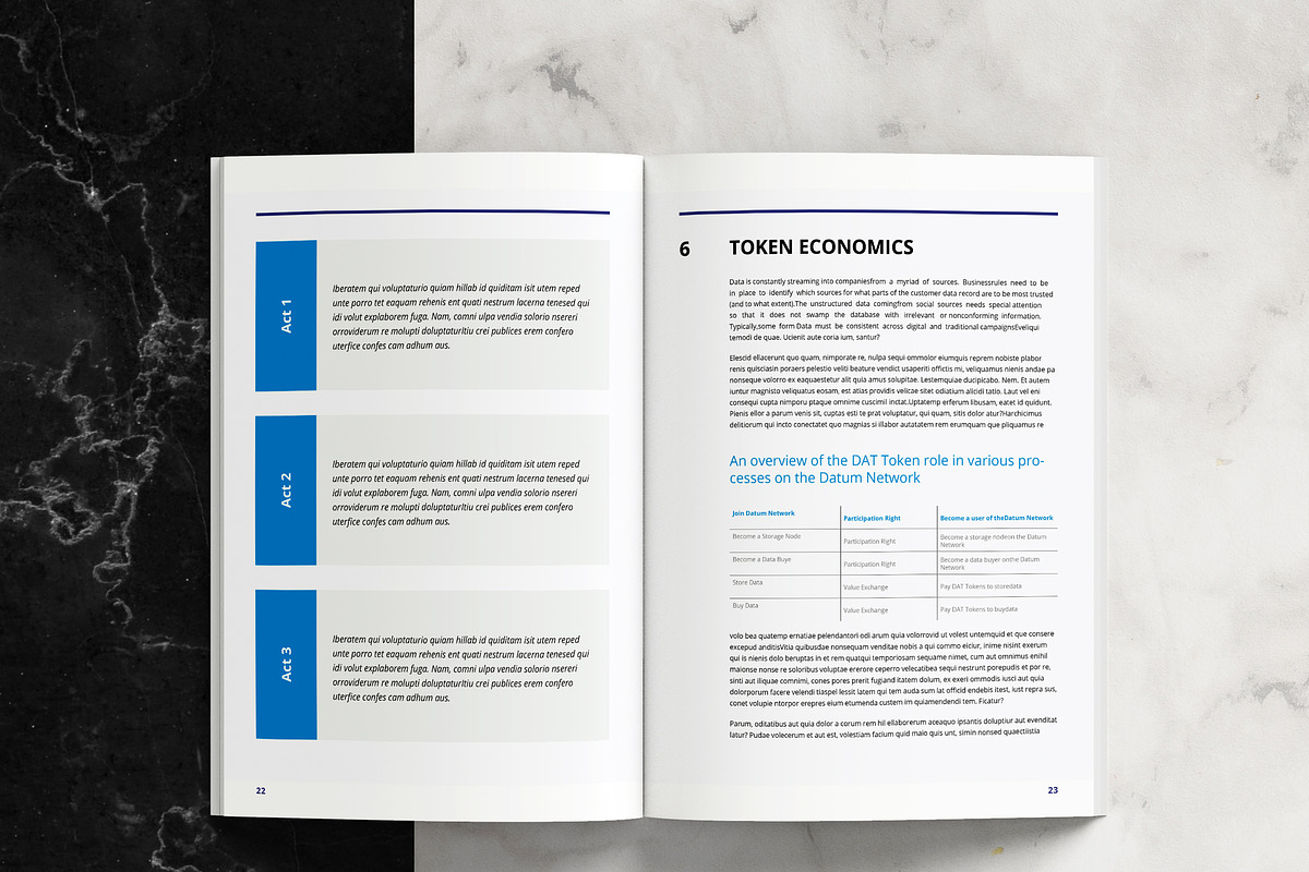 White Paper Template, a Brochure Template by azadcsstune (Photo 13 of 15)