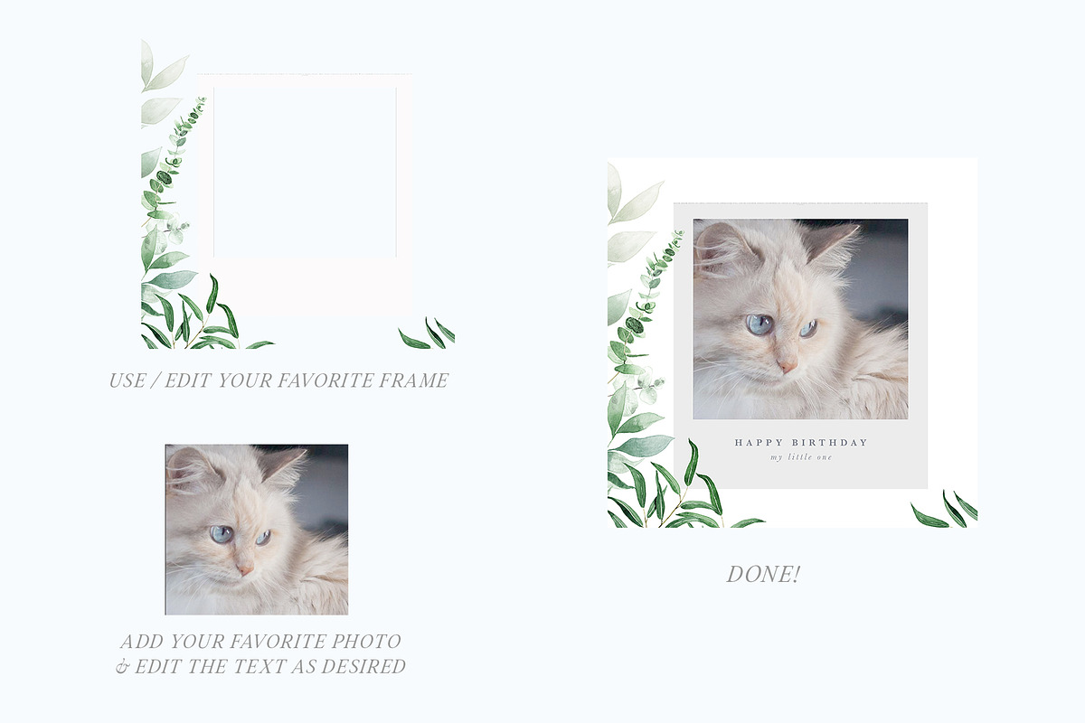 Scent of Eucalyptus - Graphic Set, an Illustration by studioequinox (Photo 14 of 21)