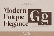 Acollia, a Serif Font by saemoon creative (Thumbnail 13 of 13)