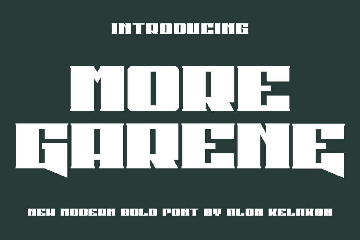 More Garene, a Serif Font by alon kelakon (Photo 1 of 3)