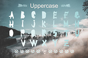 BRAVE-VIKING OTF font, a Symbol Font by Zimages (Thumbnail 2 of 9)