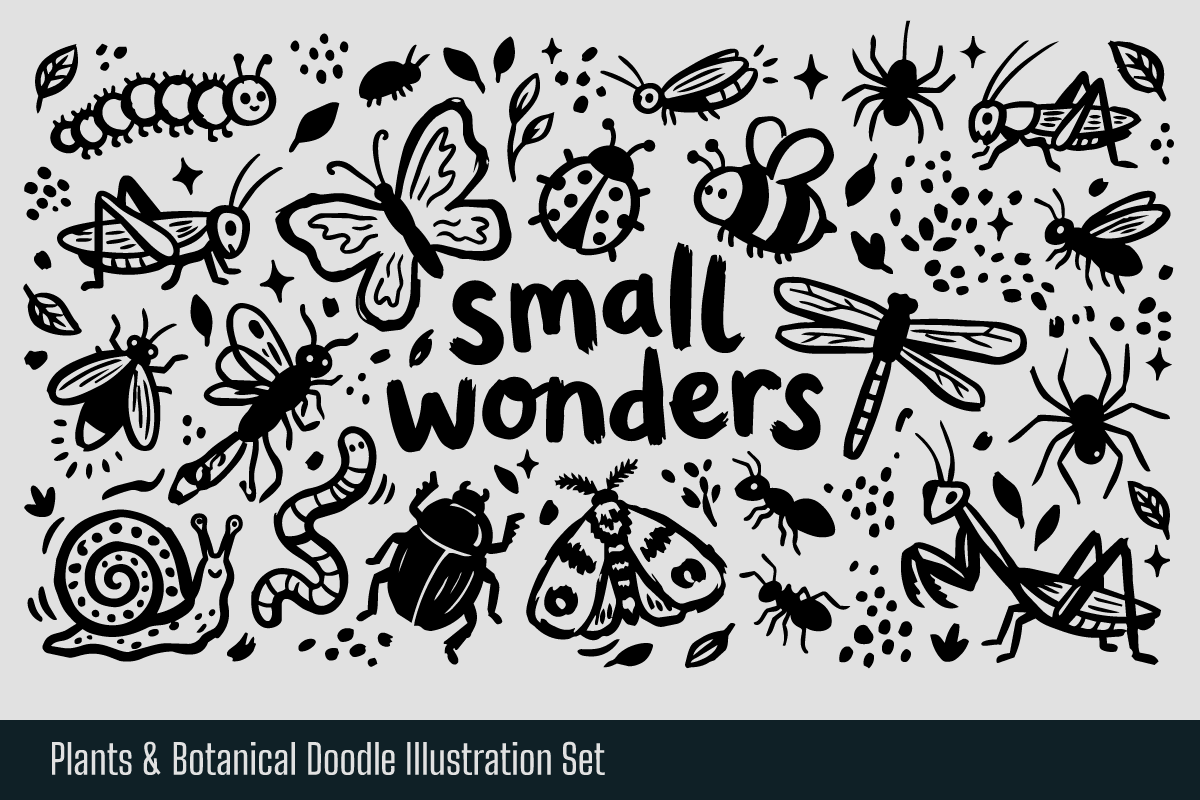 Plants & Botanical Hand-drawn Doodle, an Object Illustration by Huza Studio (Photo 5 of 10)
