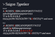 Saigon Minimalist Serif - Basic Pack, a Serif Font by The Paper Town (Thumbnail 16 of 16)