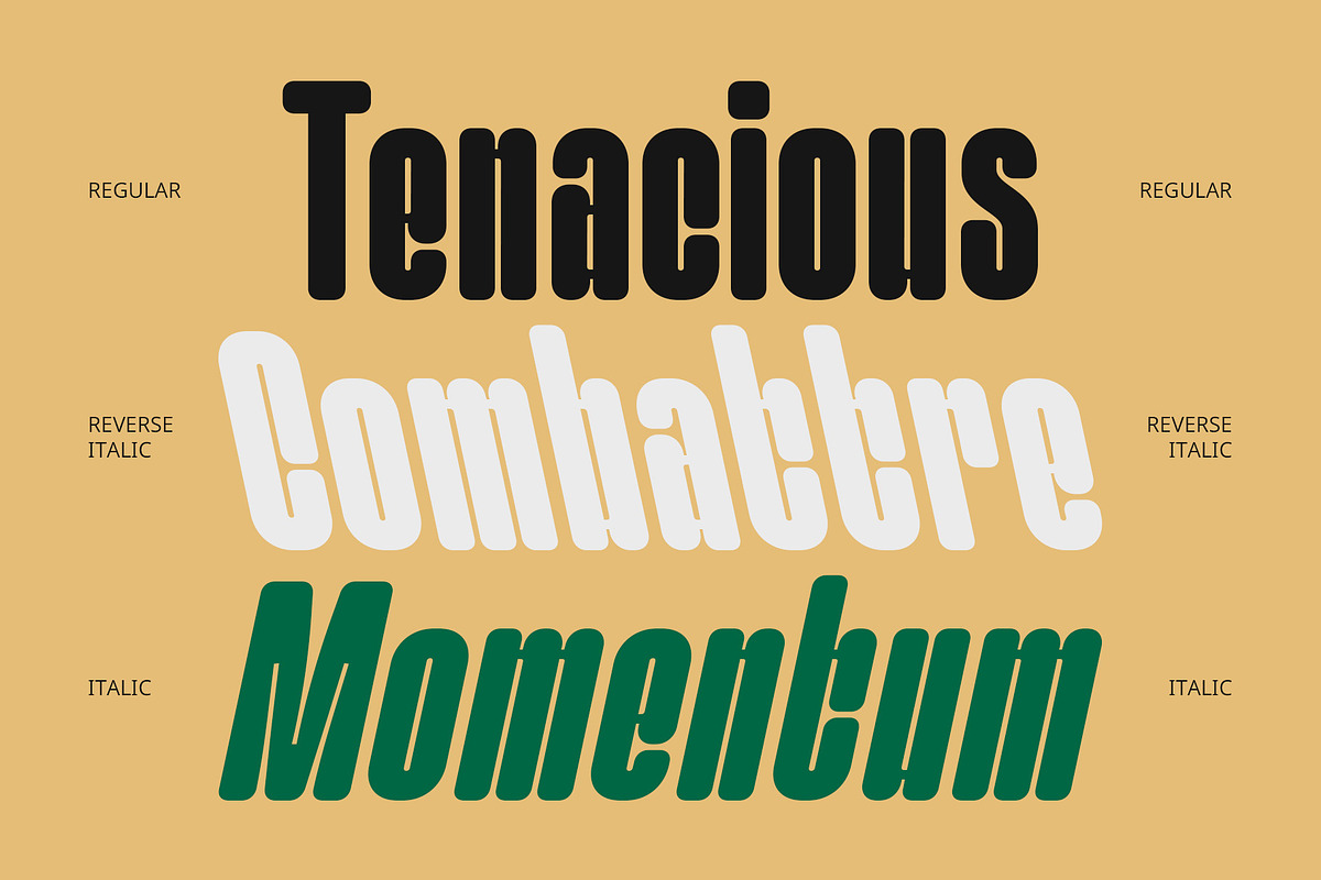 CS Emerson – Bold Font, a Sans Serif Font by Craft Supply Co. (Photo 5 of 8)