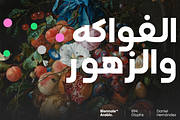Biennale Arabic, a Sans Serif Font by Latinotype (Thumbnail 11 of 11)