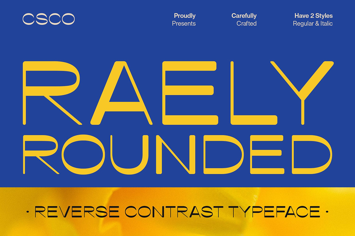 Raely Rounded, a Sans Serif Font by Craft Supply Co. (Photo 1 of 8)